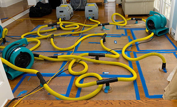 Professional Water Extraction technician working in Flemington, GA